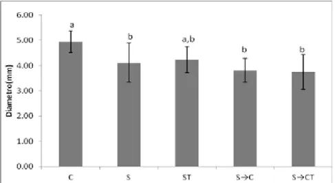 Gráfico 6: Diâmetro da Tíbia (Média e desvio padrão)da tíbia de ratos Wistar C - animais  controle livres em gaiolas por 21 dias; S - suspensos por 21 dias; ST - suspensos pela cauda  por 21 dias, concomitantemente, tratados com US; S→C - suspensos por 21 
