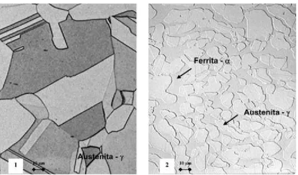 Figura 3.2 Microestrutura típica de um aço inoxidável AISI 316 e um inoxidável  duplex [5]
