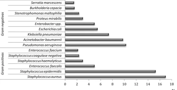 Figura 10 – Bactérias Gram positivas e Gram negativas identificadas ao longo do período de  estudo