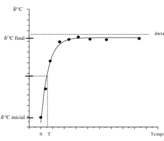 Figura 2 – Turnover isotópico e meia-vida (T).ingerida e dos gases inalados, assim como, dos