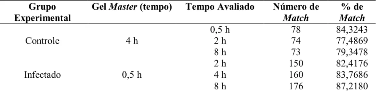 Tabela  4.  Número  de  spots  comuns  (Match)  e  porcentagem  de  Match  entre  as  triplicatas  dos  géis de cada tempo em relação ao gel Master do grupo controle e infectado