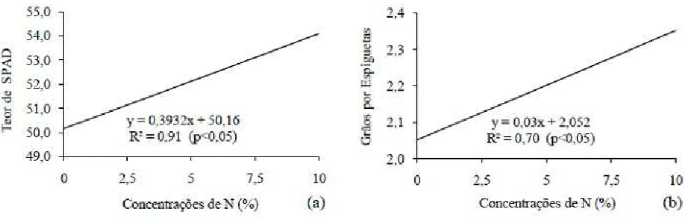Figura 2. Valores médios do teor de clorofila SPAD (a) no ano agrícola de 2006 e número de grãos por espiguetas  (b) no ano agrícola de 2007 em função das concentrações de nitrogênio foliar na cultura do trigo