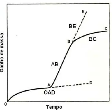 Figura  3.5–Desvios  da  cinética  de  crescimento  de  filmes  de  óxidos  (Sedriks,1996; 