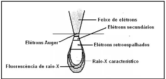 Figura 3.16-Volume de interação: localização dos sinais emitidos pela amostra (Adaptado de  Kestenbach, 1994)