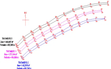 Figura  3.  Caracterização  dos  tratamentos  3,  1  e  2  obtendo  medidas  de  comprimento e área .