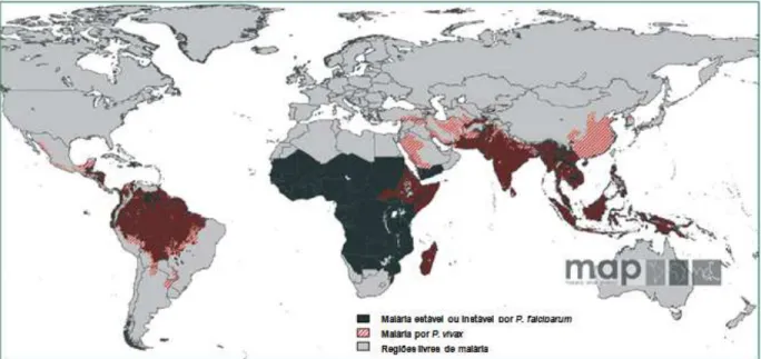 Figura  1:  Distribuição  geográfica  e  endemicidade  da  malária  no  mundo.  Fonte:  Adaptado  de  Malaria Atlas Project 