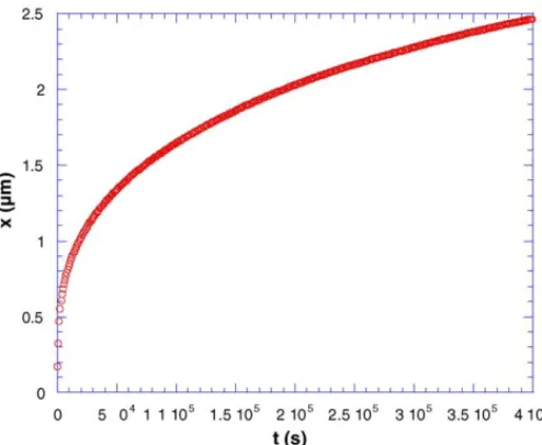 Fig. 2. Microstructure (SEM) of the outer surface of the chromia scale formed at 900 ◦ C on Ni–30Cr alloy.
