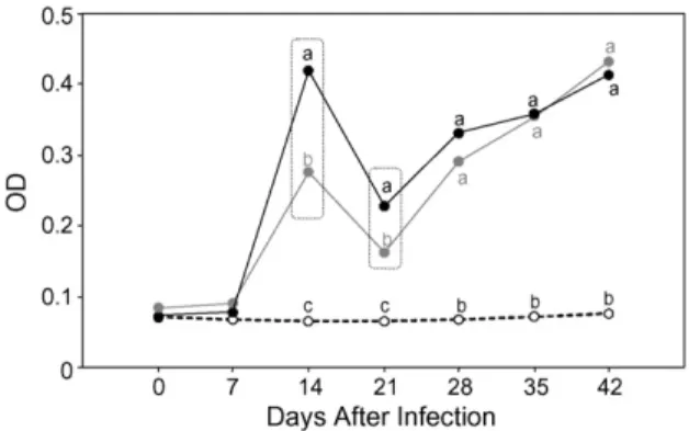 Fig. 2. Kinetics of serological features during acute canine infection with metacyclic (䊉) or blood ( ) trypomastigotes of Be-78 T
