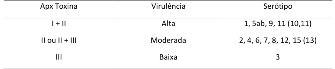 Tabela 2: As toxinas Apx produzidas por diferente serótipo de A. pleuropneumoniae e a patogenicidade destes serótipos  (Sjölund, 2010)