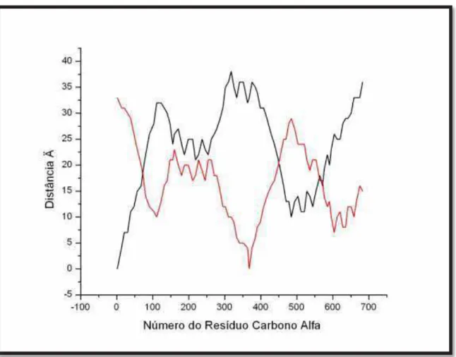 Figura 34 - Distância interna da proteína 2efv referente ao primeiro número do resíduo (em preto) e  distância interna no plano do quadragésimo terceiro resíduo carbono alfa (em vermelho)