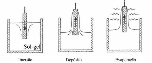 Figura 2: E tapas envolvidas na formação das camadas delgadas pelo processo dip-coating.