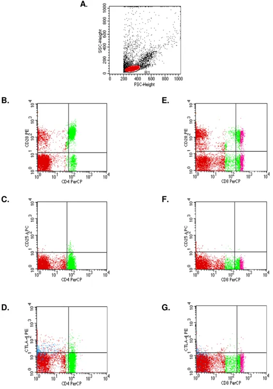 FIGURA I: Análise de linfócitos do sangue periférico após estimulação in vitro com antígenos EPI