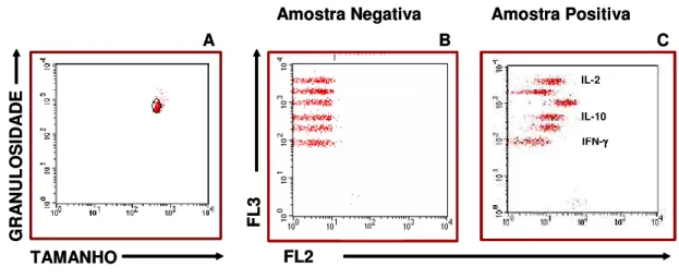 Figura II: Análise quantitativa de citocinas de sobrenadante de cultura utilizado pelo BD CBA Analyses  Software
