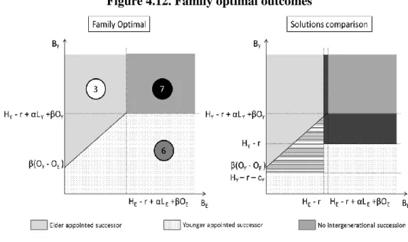 Figure 4.12. Family optimal outcomes 
