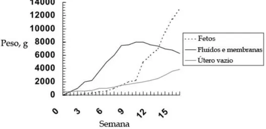 Figura  16-  Relação  entre  o tempo  de  gestação  e o peso dos  conteúdos  uterinos  (Adaptado  de  Heugten,  2000) 