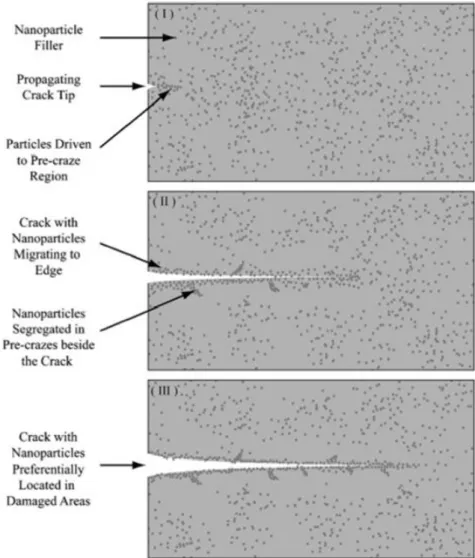 Figure 11 - Schematic representation of the nanoparticle movement during crack growth in thermoplastics [13] 