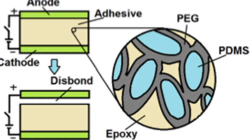 Figure 13 - Microscopic structure of ElectRelease [21] 