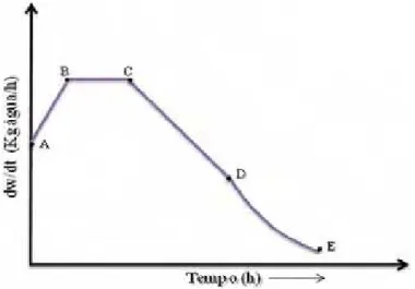 Figura 2.8. Variação da velocidade de secagem da água retirada em função do tempo (HALL,  2006)