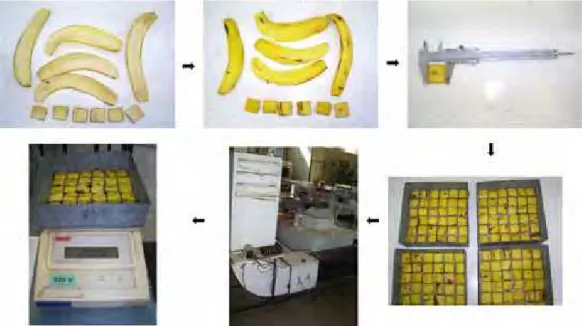 Figura 3.5. Ilustração do procedimento da experimentação de secagem para casca de banana  nanica