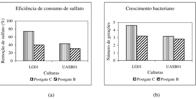 Figura  5.13  -  Cultivo  das  culturas  LG01  e  UASB01  em  meios  de  cultura  Postgate  B  e  Postgate C, com lactato como substrato orgânico, em pH 7,0 e a 35 o  C