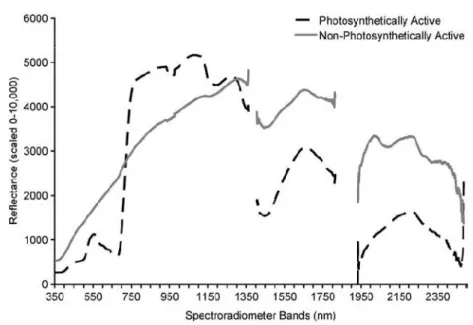 Figure 3: Typical spectral signatures of photosynthetically active and non-photosynthetically active vegetation  (Beeri et al., 2007)