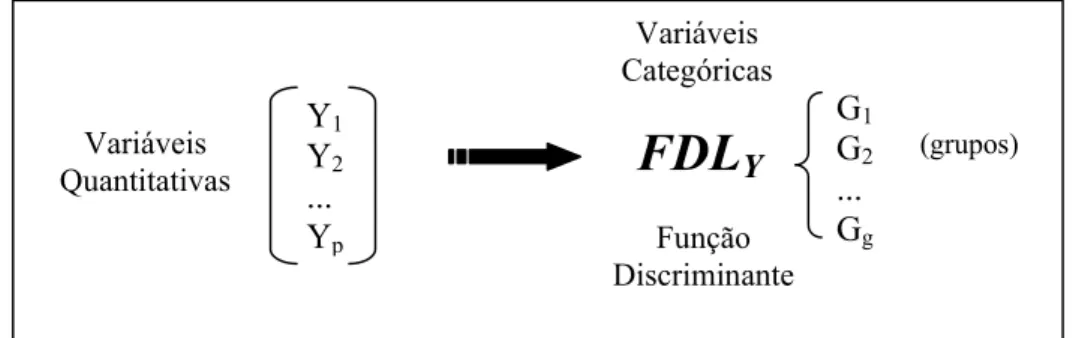 Figura 3.1 - Representação esquemática da determinação da Função Discriminante 