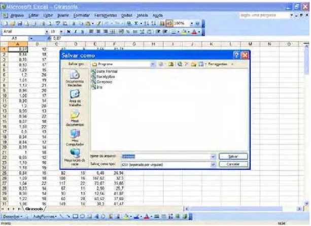 Figura 5.1 - Janela “Salvar Como” do Microsoft Excel