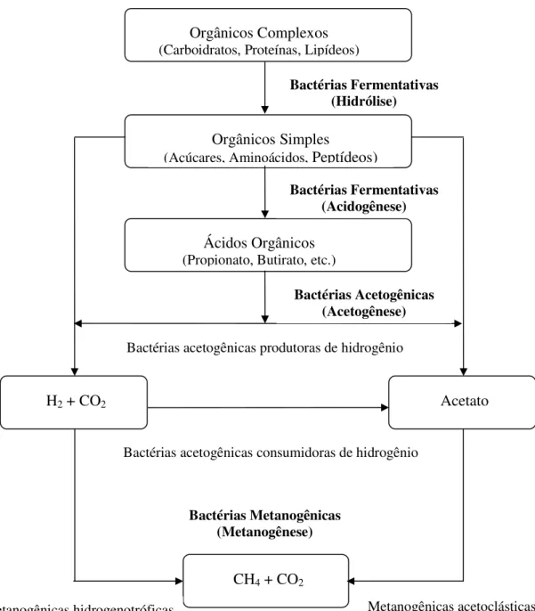 Figura 5. Seqüência metabólica e grupos microbianos envolvidos na digestão anaeróbia (Fonte: Chernicharo, 1997).