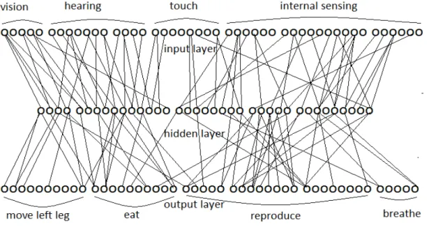 Figure 7: Neural network of parent A 1