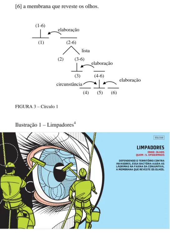 FIGURA 3 – Círculo 1 