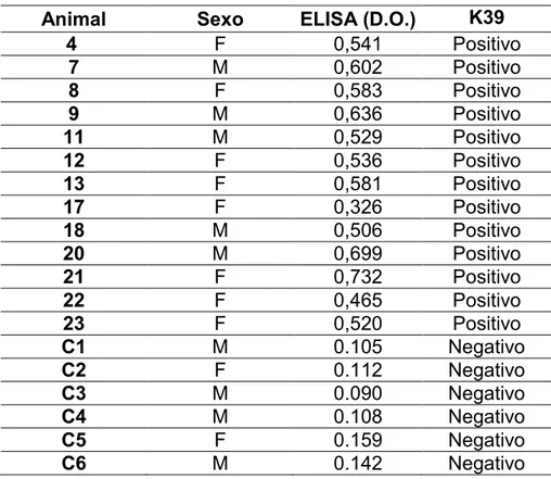 Tabela 1: Densidade óptica obtida no ensaio ELISA indireto contra antígeno de   e do resultado do teste rápido k-39