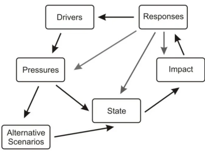 Figure 9 - Simplified DPSIR framework with alternative scenarios 