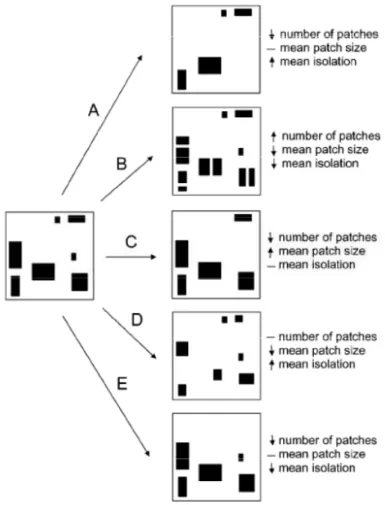 Figura 3 - Diferentes padrões espaciais originados pela perda de habitat (Fahrig, 2003) 