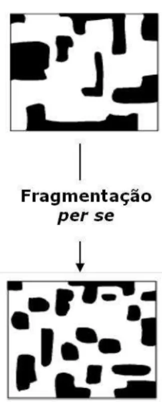 Figura 6 - Fragmentação per se (Fahrig, 2003) 