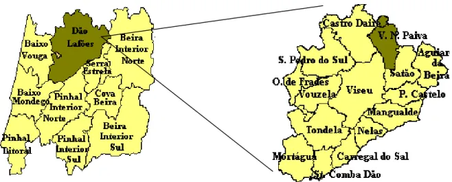 Figura 5. Sub-região Dão Lafões.  