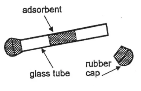 Figura 2  - Exemplo de uma cápsula receptora [14]. 