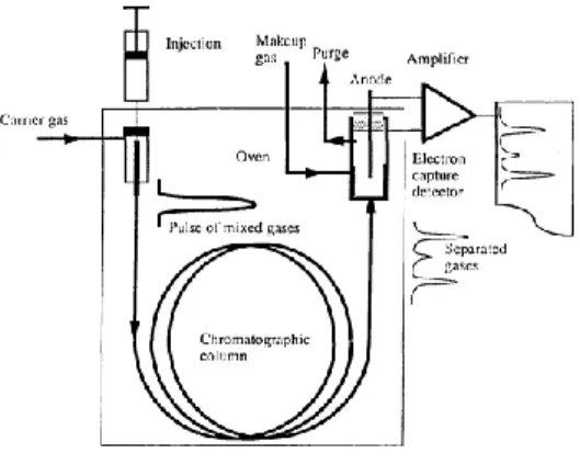Figura 3  - Princípio da cromatografia gasosa com um detector de captura de electrões [16]
