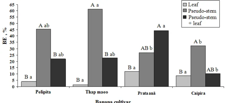 Figure 1. Biological efficiency (BE) (%) of the 09/100 strain of Pleurotus ostreatus in different substrates based on leaf, pseudo-stem  and pseudo-stem + leaf waste of four banana cultivars (Thap Maeo, Prata Anã, Caipira and Pelipita)