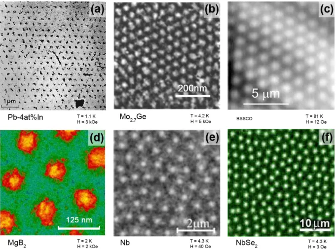 Figure 2.4: Images taken using different techniques to visualize the Abrikosov vortex lattice