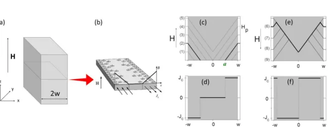 Figure 2.7: Bean model in a slab with width 2w in parallel configuration (a). (b) Schematic representation of the microscopic distribution of the vortices in a stripe from the middle of the slab [61]