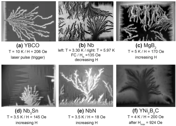 Figure 3.3: Dendritic morphology of the avalanches in thin films visualized by MOI: (a) YBCO after a laser pulse [89, 90]; (b) Nb decreasing the field after a field cooled procedure at H = 135 Oe [91]; (c) MgB 2 increasing the magnetic field [92, 93]; Nb 3