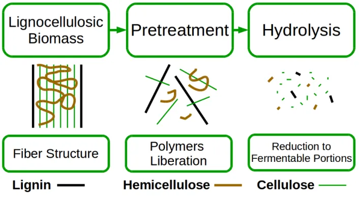 Figure 1 – Lignocellulosic Biomass Processing 