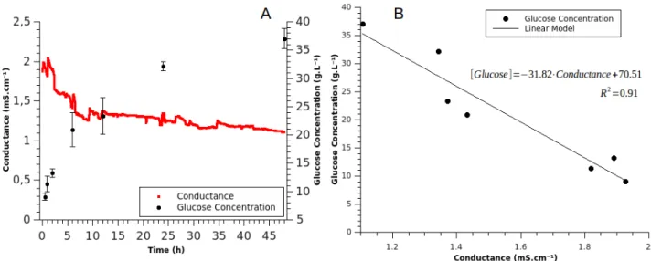 Figure 10 -  Conductance and glucose concentration during hydrolysis. 