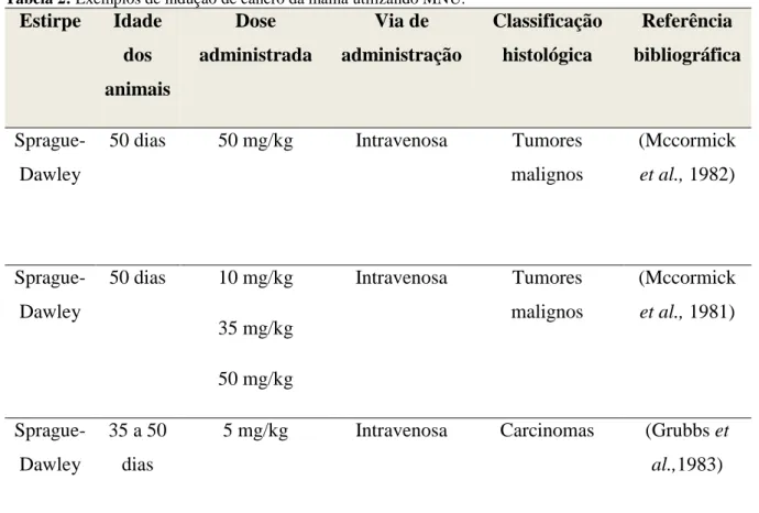 Tabela 2: Exemplos de indução de cancro da mama utilizando MNU. 