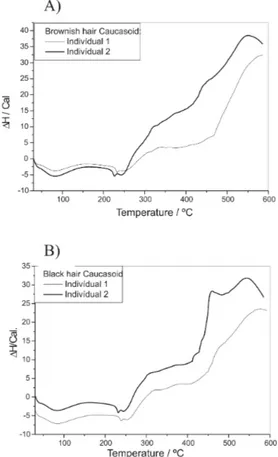 Figure 2 - DSC curves  from the same ethnic groups: T i   = 30ºC; T f  = 600ºC; b = 20ºC min -1 ; Air Flow = 100 mL min -1 ; A) Asiatic Individuals; B) Blond Individuals; C) Negroid Individuals
