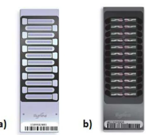 Figure 2. BovineSNP50 BeadChip, Illumina®. The pictures a) and b) represent the v1 (12 samples in parallel - 2008) and the v2 platforms (24 samples in parallel - 2010), respectively
