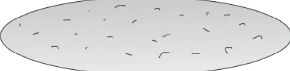 Figure 4.1.: Note that the shape presented is very flat and regular, with only some small "inhomo- "inhomo-geneities" in its surface.