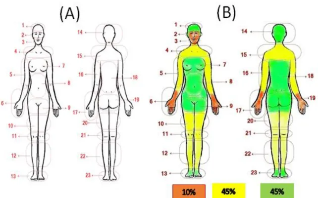 Figura 1 – Esquema do corpo humano feminino utilizado na coleta (A) e a representação das  áreas organizadas considerando níveis estimados de exposição social (B)