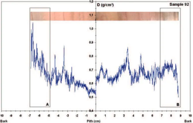 Figure 2:  Wood density pro ﬁ le (sample 92) of Eucalyptus grandis x urophylla.  A -healthy and B - affected area of white rot fungi.