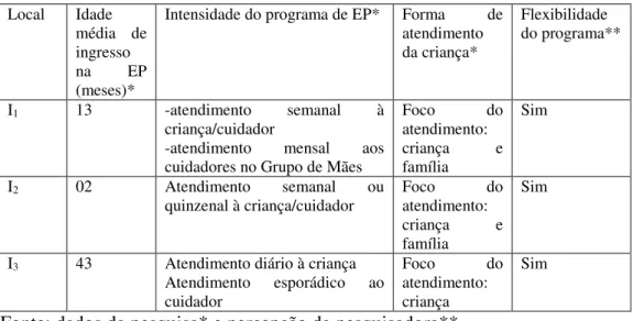 Figura 8- Princípios de análise do programa de EP em interface com a atuação profissional